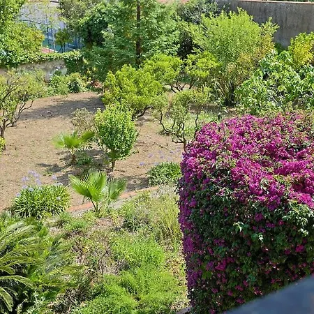 Villa Maison De Maitre Centre Hyeres