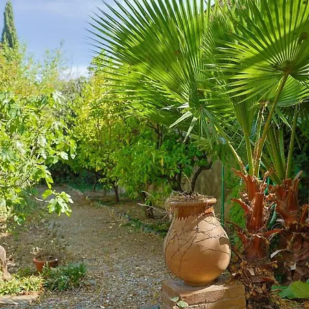 Maison De Maitre Centre イエール