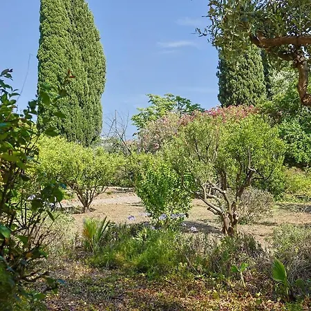 Maison De Maitre Centre Villa *